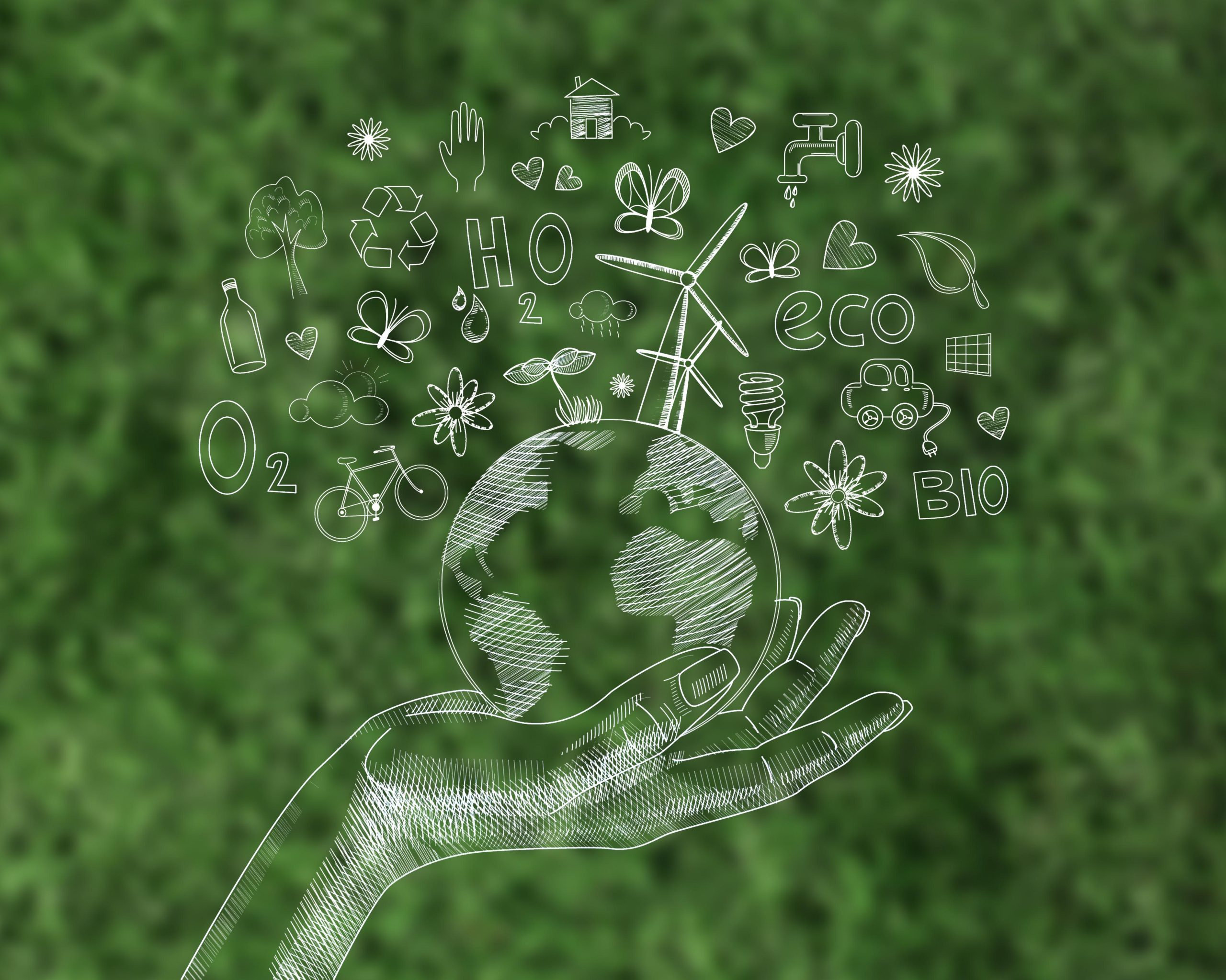 cadena de suministro verde de impacto positivo