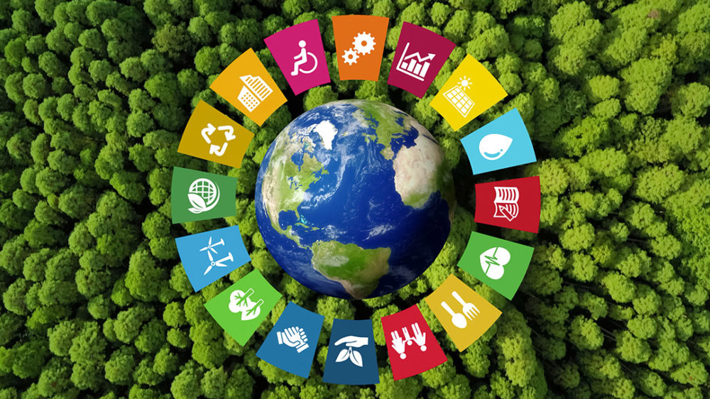 objetivos de desarrollo sostenible en la cadena de suministro